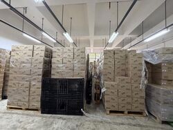 Citipoint Industrial Complex (D14), Factory #624905701